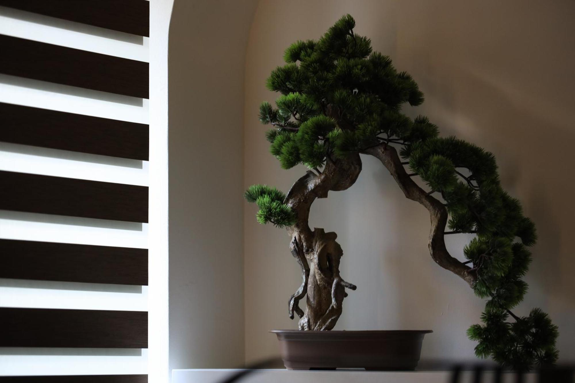 シビウDemiani Houseアパートメント エクステリア 写真